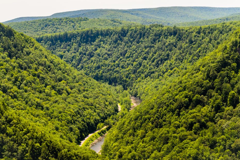 Cool mountain streams make for excellent fishing in Laurel Highlands, Local News