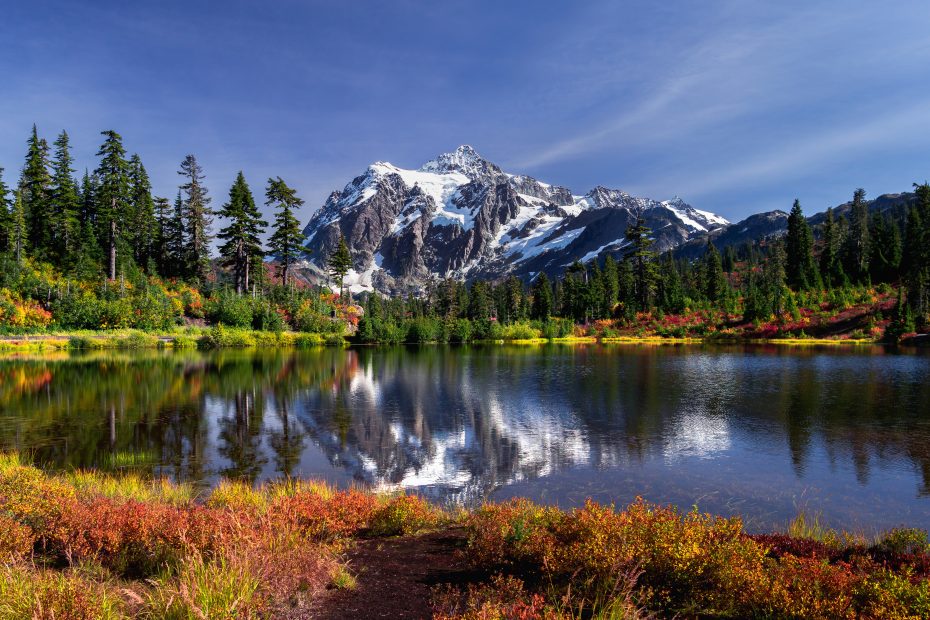 The Ultimate Guide to Washington's Mount Rainier National Park